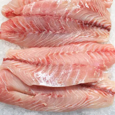 Capitaine fillet