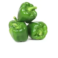 Green pepper-Poivron vert