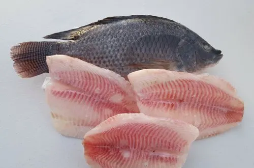 Fish (poissons)